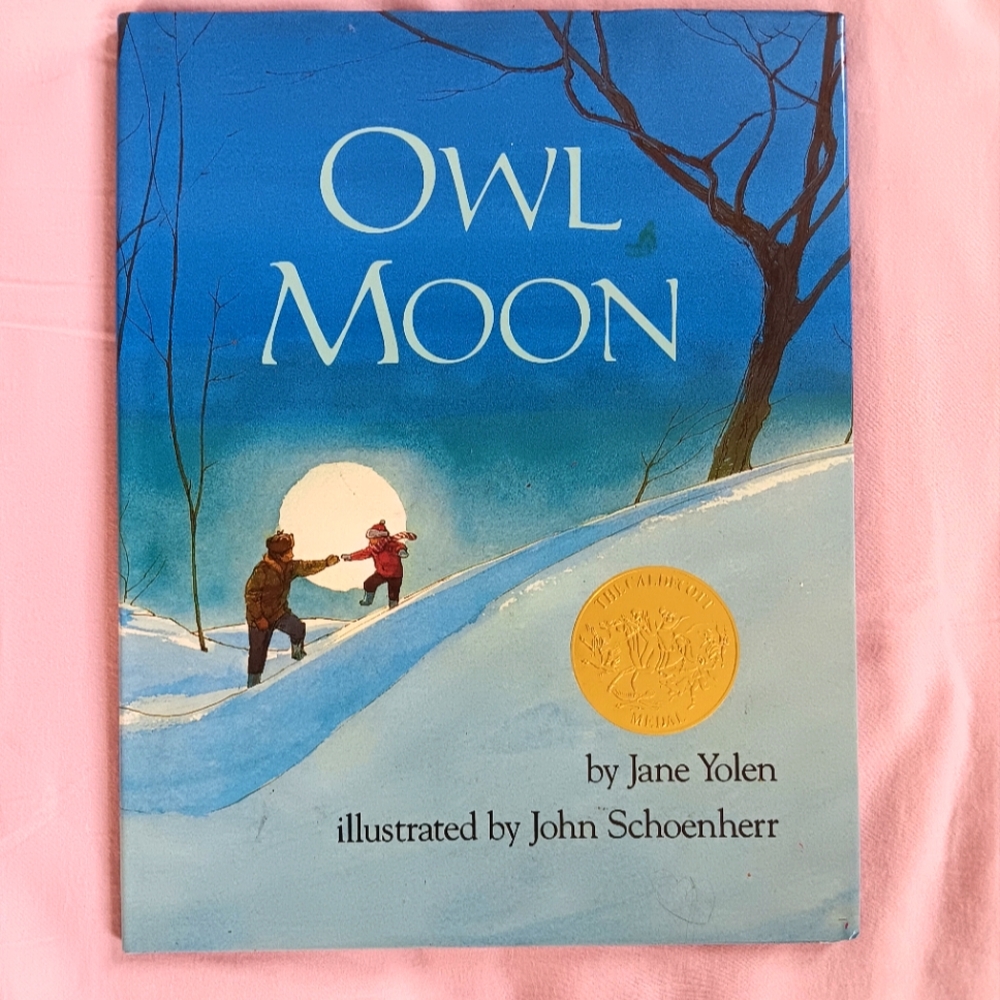 Hard cover picture story book for kids
